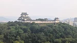 Hidden Gem: Wakayama Castle Tour 