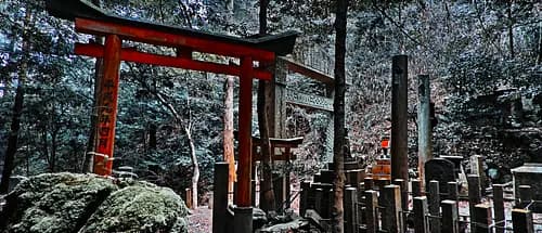 From the Kyoto's most mystic Shrine, Oiwa Jinjya to Fushimi Inari Taisya