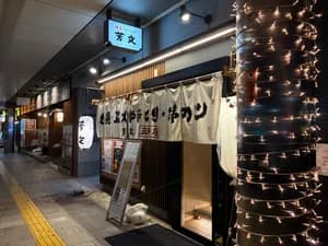 Wakayama Food Tour: Izakaya Dinner, Ramen & Drinks Included