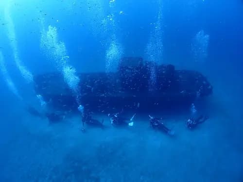 PADI Beginner Passport Diver Program: Discover Okinawa’s Hidden Underwater World