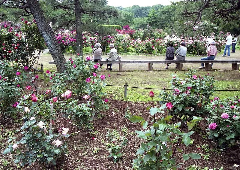 Ikuta Ryokuchi Park