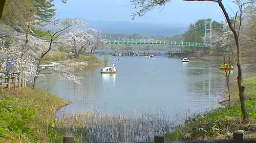 Ashino Koen Park