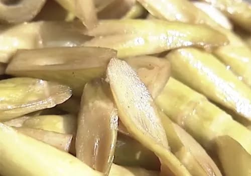 Rare Taste of Autumn: “Shihouchiku” Square Stem Bamboo in Fukuoka