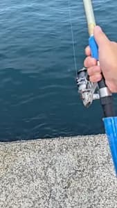 Kada Wakayama Fishing Experience
