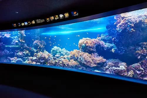 Sunshine Aquarium
