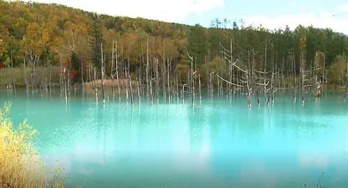 Shirogane Blue Pond
