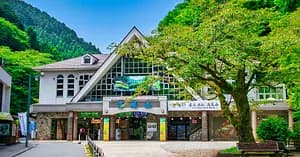 Nature Escape: Mt. Takao Hike & Natural Hot Spring