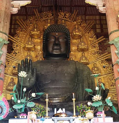 Half-day highlights tour of Nara 