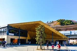 Nature Escape: Mt. Takao Hike & Natural Hot Spring