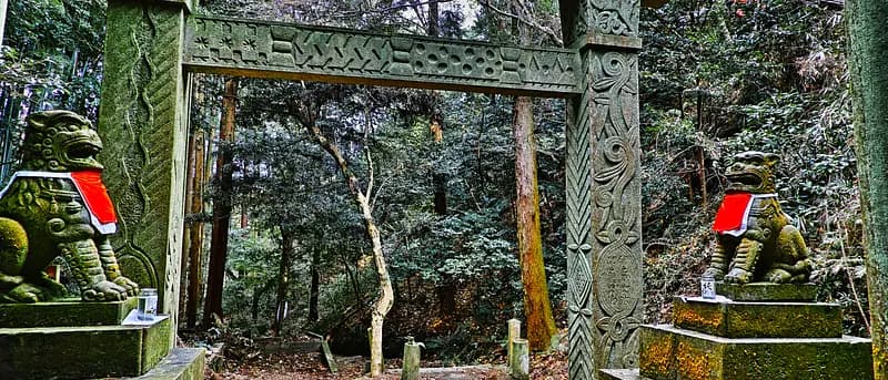 From the Kyoto's most mystic Shrine, Oiwa Jinjya to Fushimi Inari Taisya