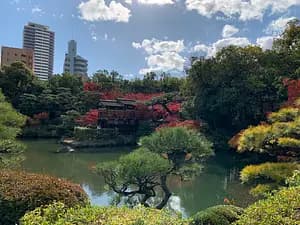 Full-day tour with Kobe beef lunch and highlights of Kobe