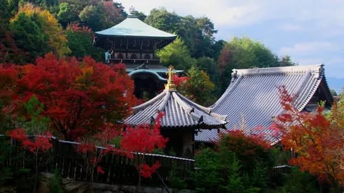 宮島の隠れたパワースポット　宮島最古の「大聖院」を巡る