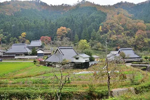 Journey to Satoyama woodland in Sasayama