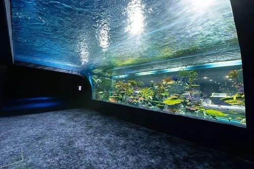 DMM Kariyushi Aquarium