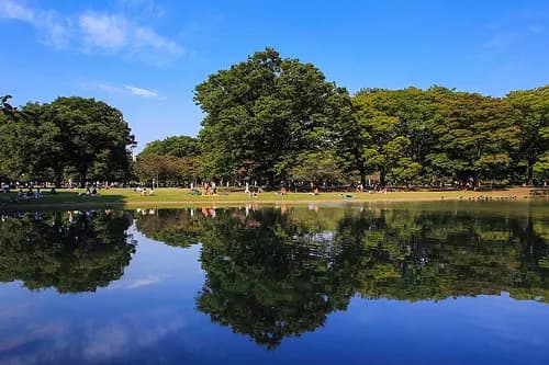 Yoyogi Koen Park