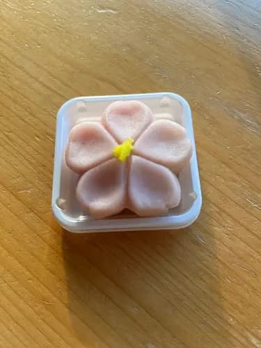 Wagashi Sweet Making Workshop