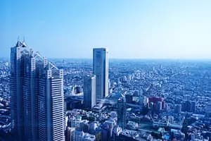 Tokyo Metropolitan Gvernment observatory, Omoide Alley and the food section of the department store! 