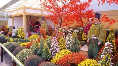 Enjoy the collaborations of chrysanthemum and figure in Fukui
