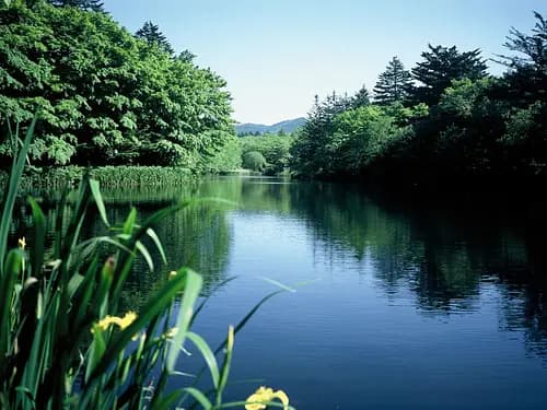 Kumobaike Pond