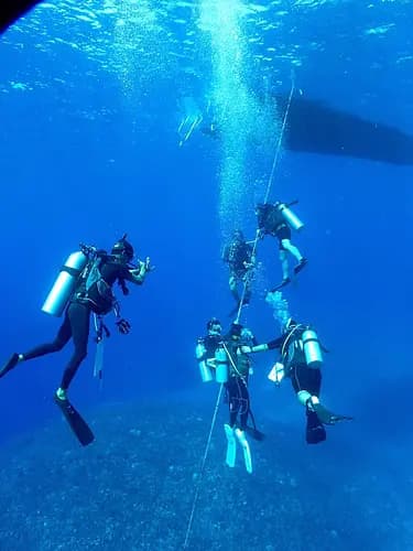PADI Beginner Passport Diver Program: Discover Okinawa’s Hidden Underwater World