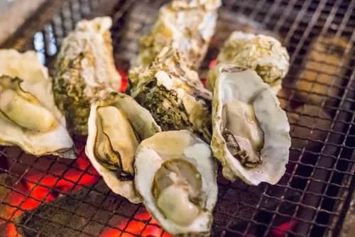 Ultimate Oyster BBQ Experience at Seaside Oyster Huts in Fukuoka