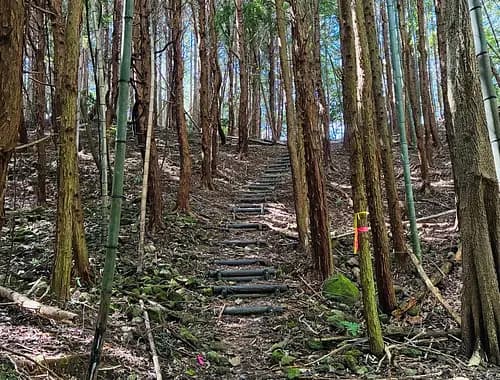 Private Yabakei Gorge hiking and Rakanji Temple Tour