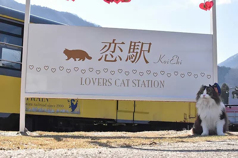 Ashinomaki Onsen Station