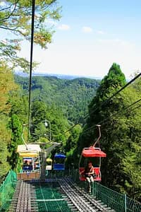 Nature Escape: Mt. Takao Hike & Natural Hot Spring