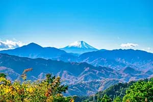 Nature Escape: Mt. Takao Hike & Natural Hot Spring