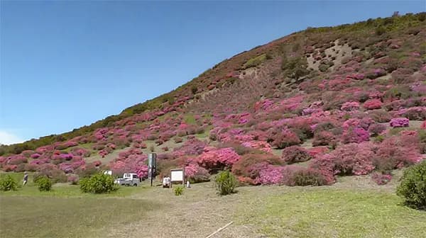 Takatouge Tsutsujigaoka Koen Park