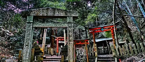 From the Kyoto's most mystic Shrine, Oiwa Jinjya to Fushimi Inari Taisya