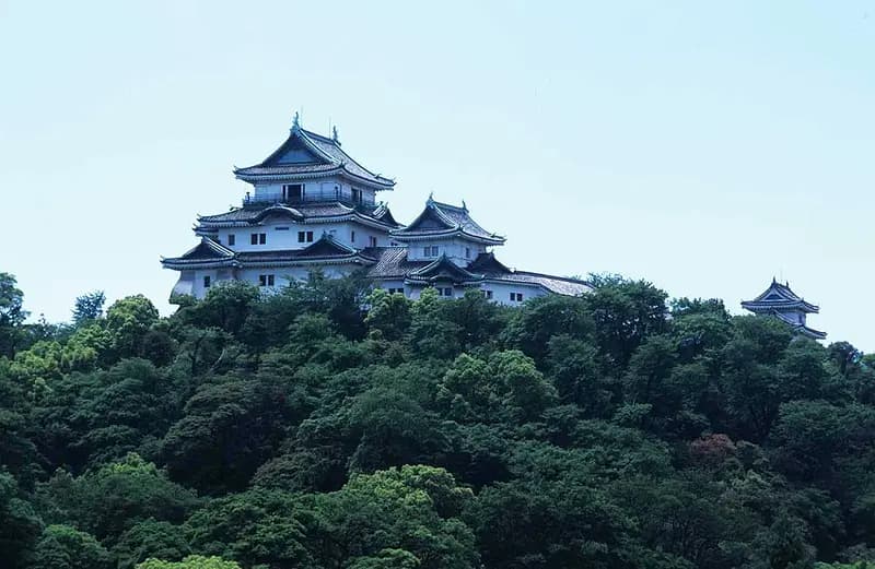 Wakayamajo Castle