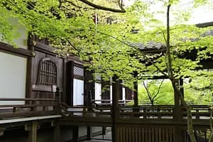 Half-day Kyoto Northern Higashiyama tour
