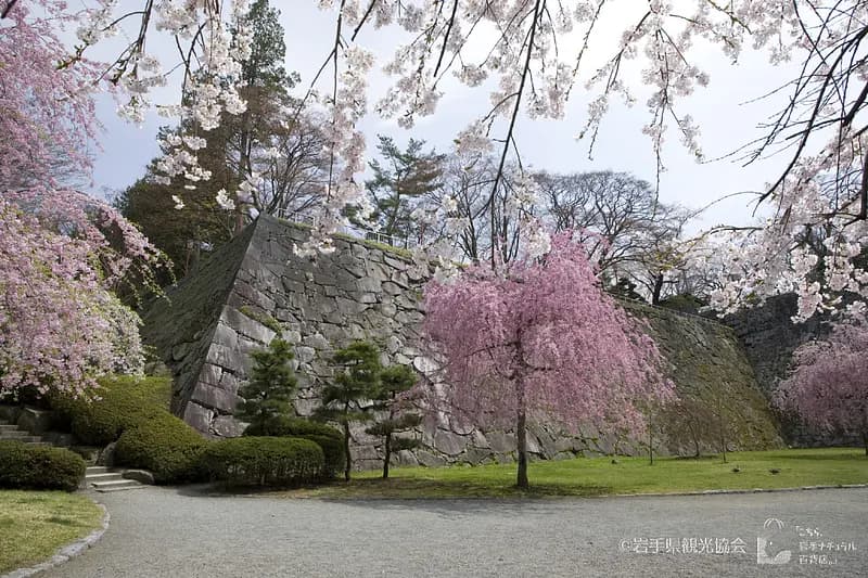 盛岡城跡公園(岩手公園)