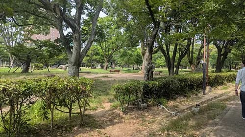 Hidden Gem: Wakayama Castle Tour 