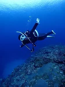  Scuba Dive Through Okinawa’s Coral Reef Paradise