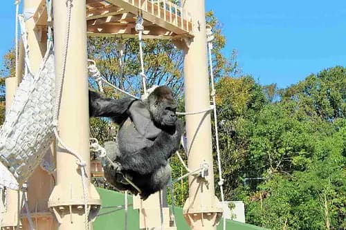 Higashiyama Zoo and Botanical Gardens