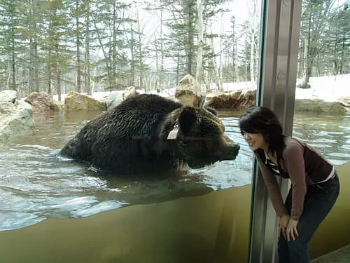 Sahoro Resort Bear Mountain