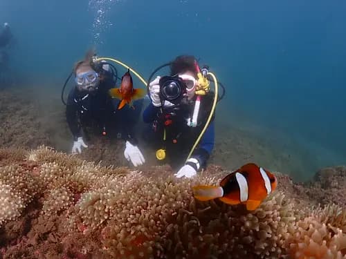 Tokyo Area NAUI Beginner Passport Diver Tour