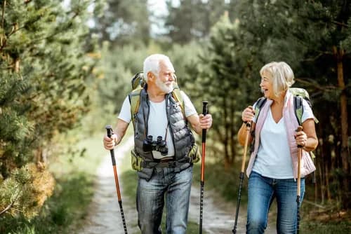 Luggage Delivery Service Saves An Elderly Couple From Ruining Their Trip In Japan