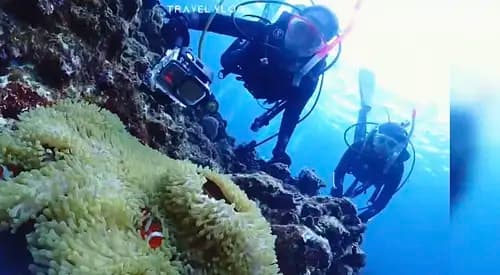  Scuba Dive Through Okinawa’s Coral Reef Paradise