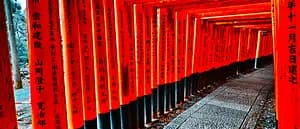 From the Kyoto's most mystic Shrine, Oiwa Jinjya to Fushimi Inari Taisya