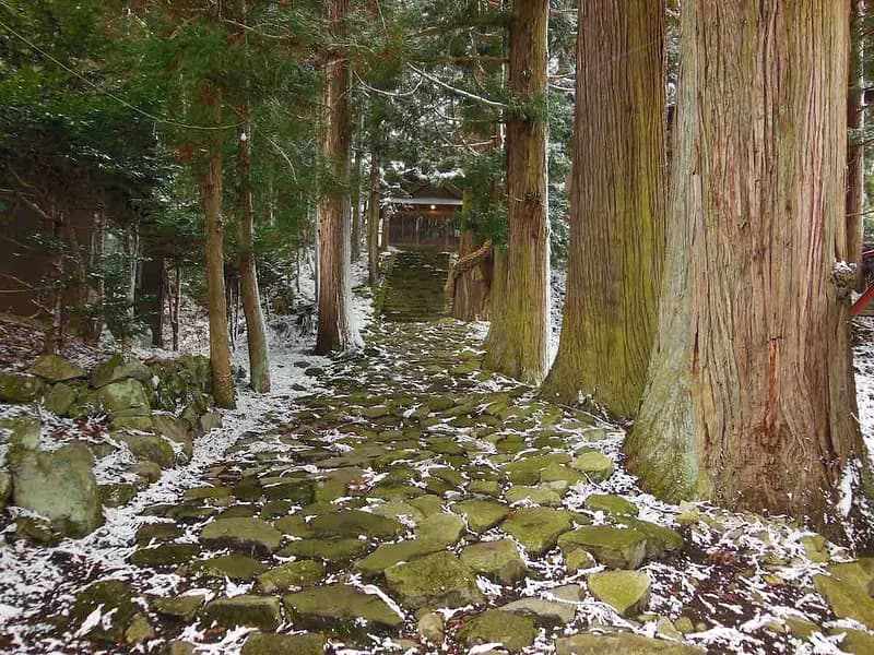 Shionomichi Trail (Salt road)