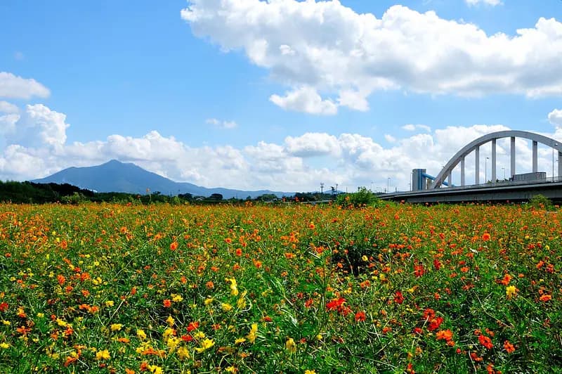 Kokaigawa Fureai Koen Park