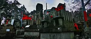 From the Kyoto's most mystic Shrine, Oiwa Jinjya to Fushimi Inari Taisya