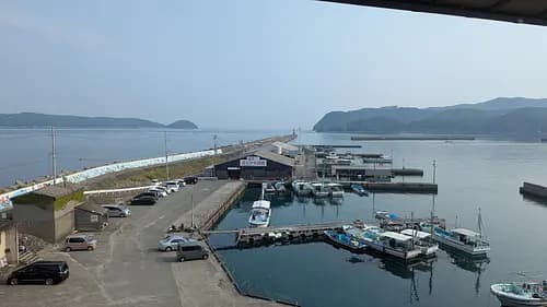 Kada Wakayama Fishing Experience