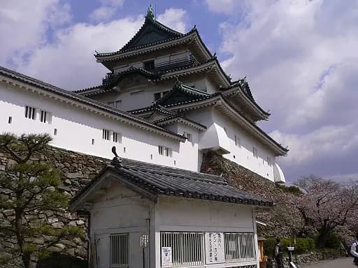 Wakayama Castle — Where Edo's Shogun Was Made