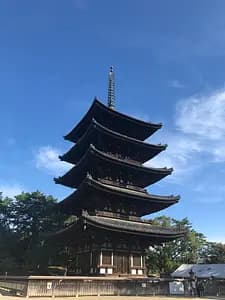 My Timeless Masterpieces  ~ Meet Fabulous Buddha Statues in Nara ~