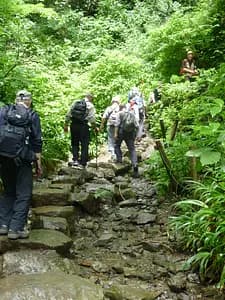 Nature Escape: Mt. Takao Hike & Natural Hot Spring
