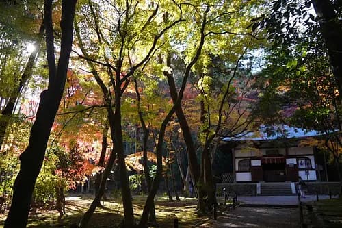 【掲載NG】Jizoin Temple